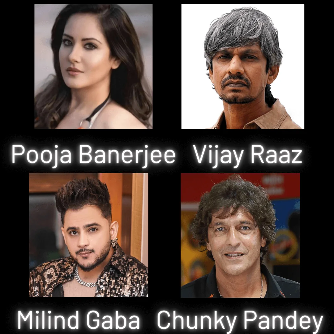 Bollywood artist event delhi 01 by Desiring Event Planners