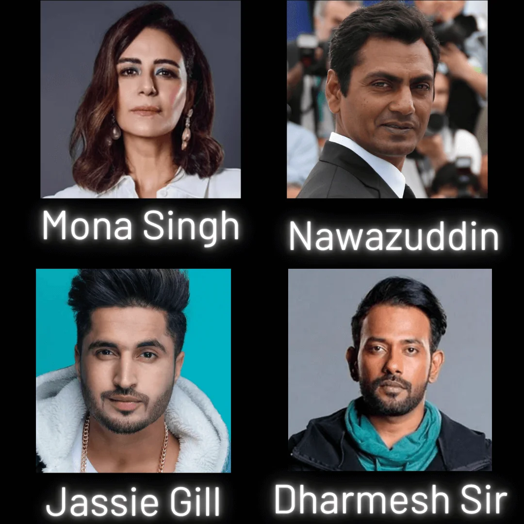 Bollywood artist event delhi 02 by Desiring Event Planners