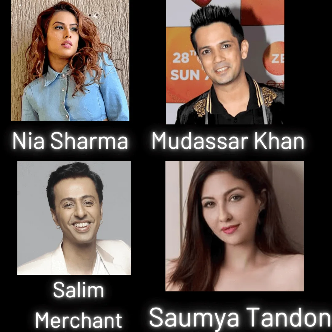 Bollywood artist event delhi 04 by Desiring Event Planners