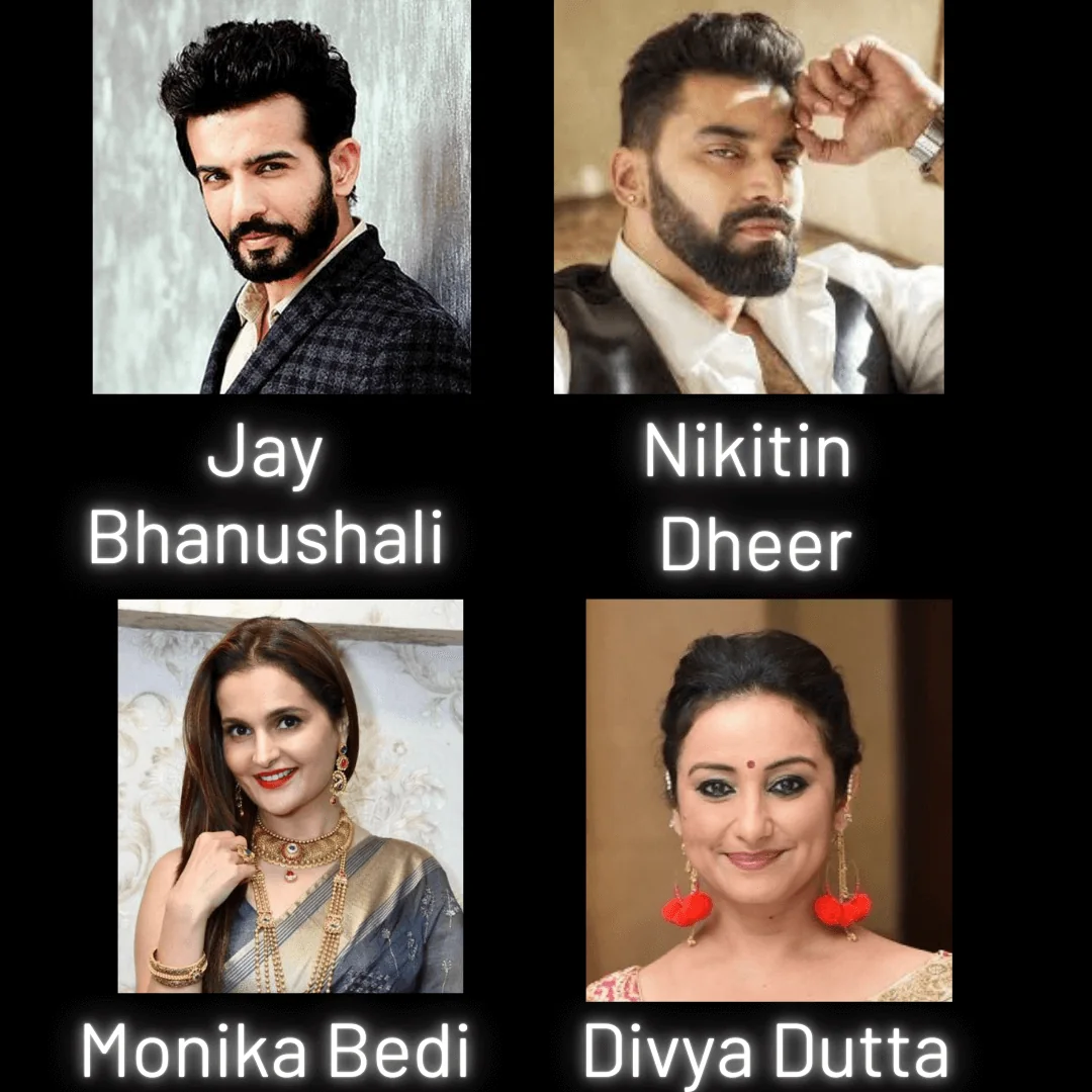 Bollywood artist event delhi 05 by Desiring Event Planners